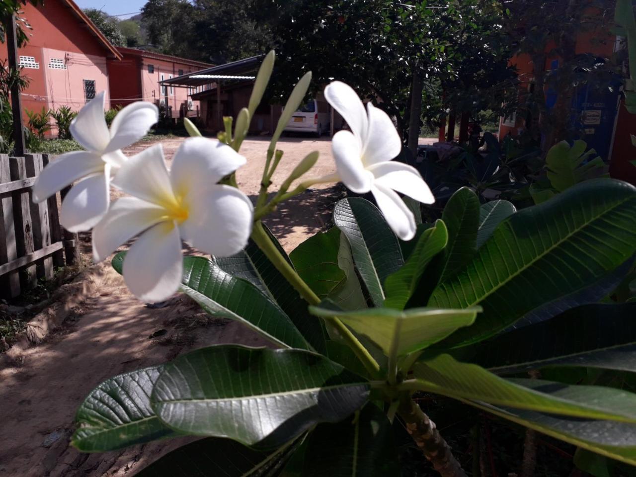 Hotel Lanta Lucky House Ko Lanta Exteriér fotografie